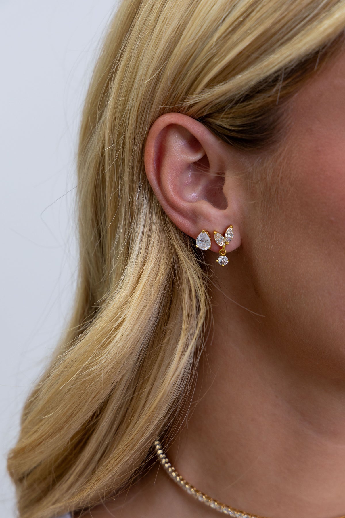 Bella Cz Stud