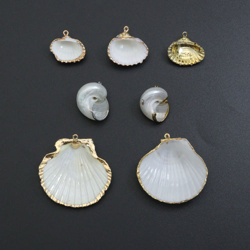 Associated Natural Seashell Pendant charm, Gold Trim Shell pendant charm, Assorted Seashells, Sku#EF823