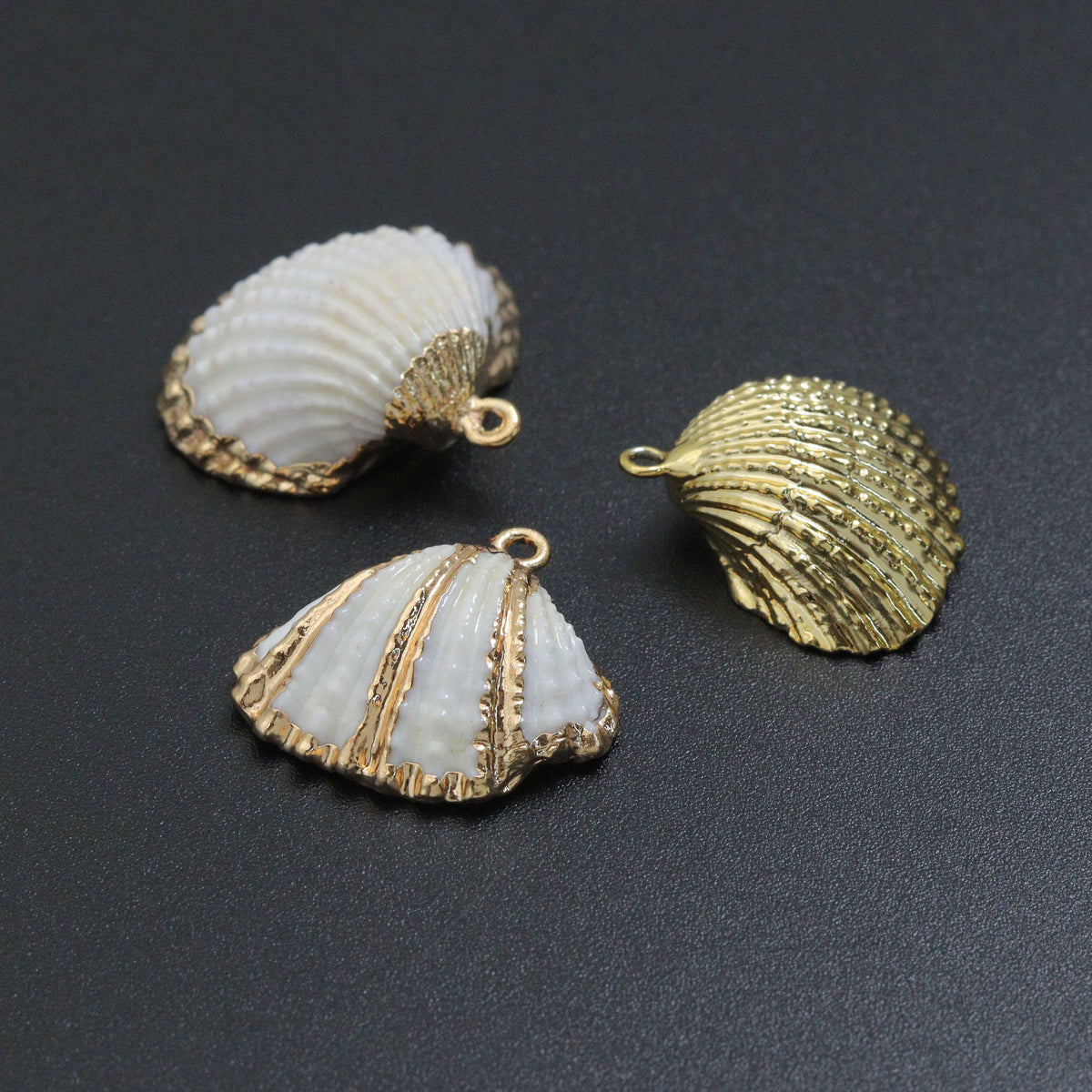 Associated Natural Seashell Pendant charm, Gold Trim Shell pendant charm, Assorted Seashells, Sku#EF823