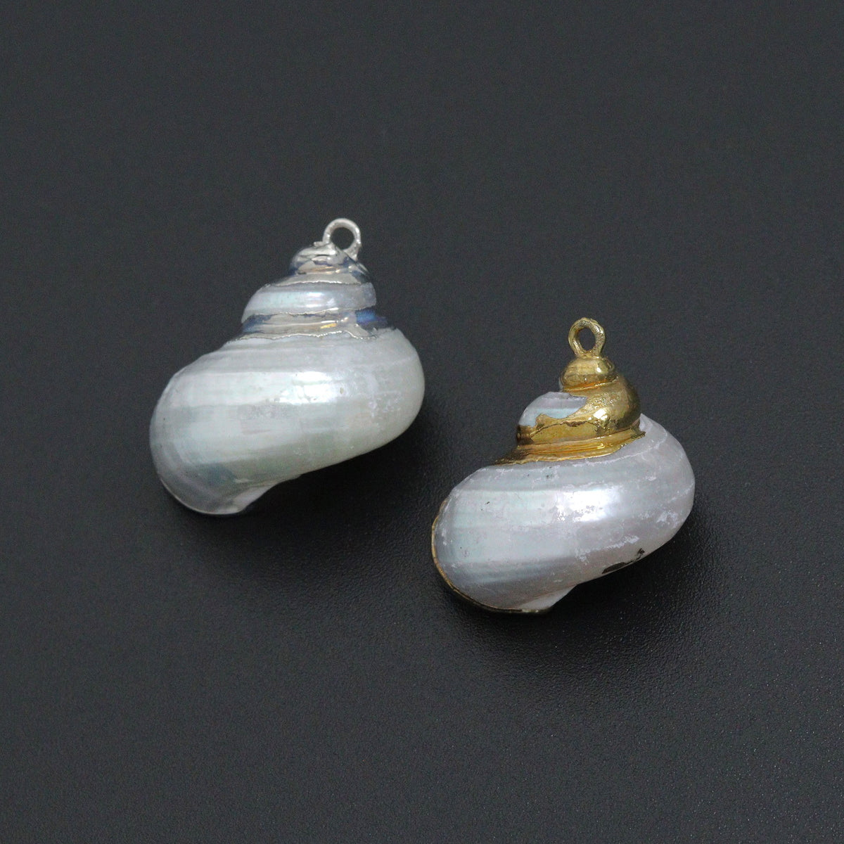 Associated Natural Seashell Pendant charm, Gold Trim Shell pendant charm, Assorted Seashells, Sku#EF823