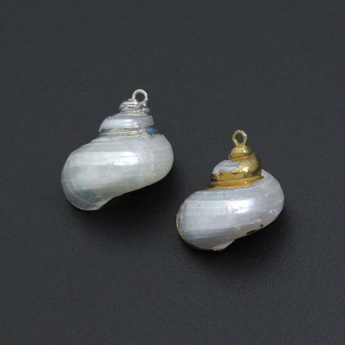 Associated Natural Seashell Pendant charm, Gold Trim Shell pendant charm, Assorted Seashells, Sku#EF823