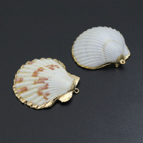 Associated Natural Seashell Pendant charm, Gold Trim Shell pendant charm, Assorted Seashells, Sku#EF823