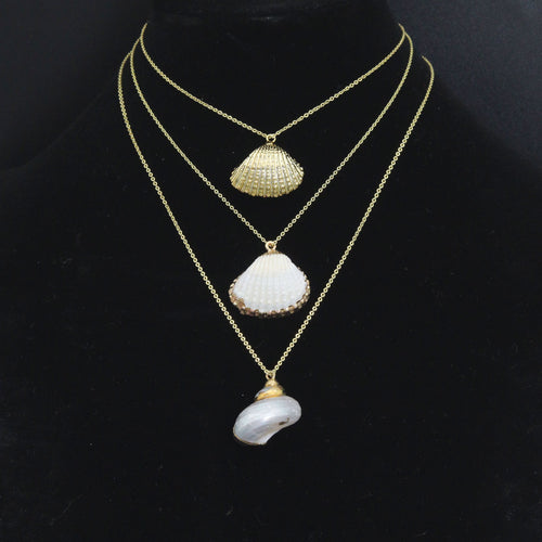 Associated Natural Seashell Pendant charm, Gold Trim Shell pendant charm, Assorted Seashells, Sku#EF823