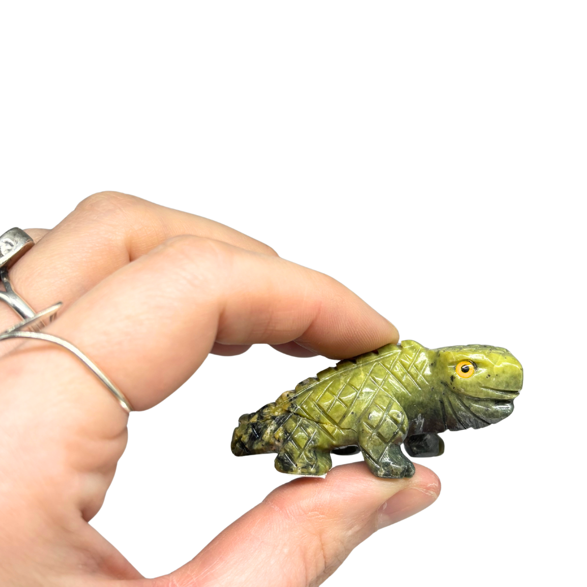 Serpentine "Iggy" Iguana