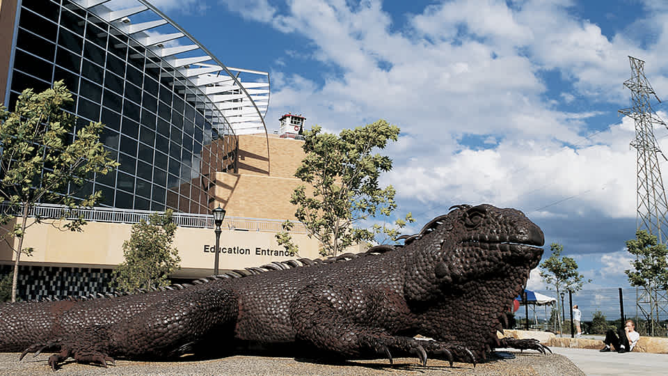 Serpentine "Iggy" Iguana