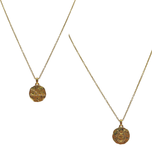 Zodiac Constellation Coin